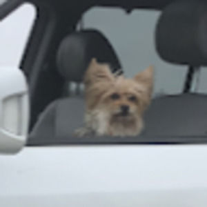 Meet your Posher, Ali